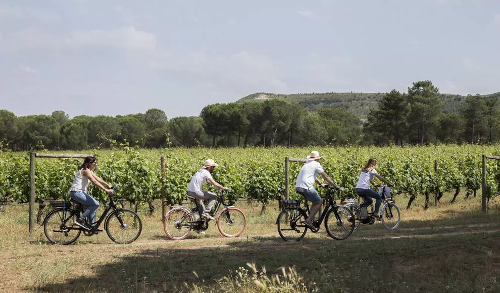 Castilla y León se supera y vuelve a ser líder en enoturismo a nivel nacional con sus ocho Rutas del Vino