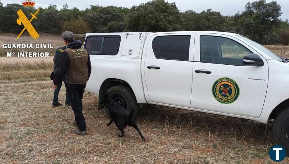 Investigadas tres personas sospechosas de poner cebos envenenados para animales silvestres en Cantalpino