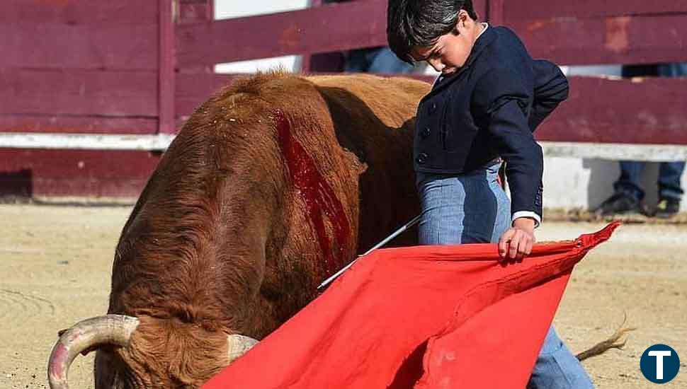 Marco Pérez, el niño salmantino prodigio del toreo, estará este sábado en Arenas de San Pedro