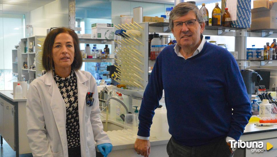 Investigadores de la USAL revisan los beneficios del hongo 'Trichoderma' para la agricultura ecológica