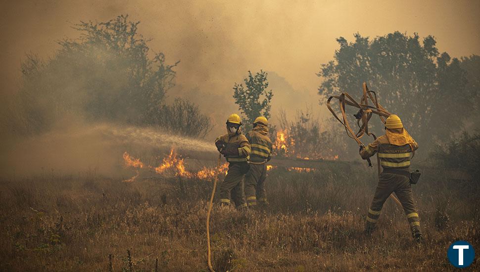 Los bomberos forestales se concentran ante las Cortes para pedir explicaciones a la Junta por lo ocurrido en Zamora