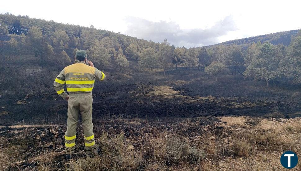 Incendio de la Culebra: garantizan alimentos y agua para las ganaderías afectadas desde este 4 de julio