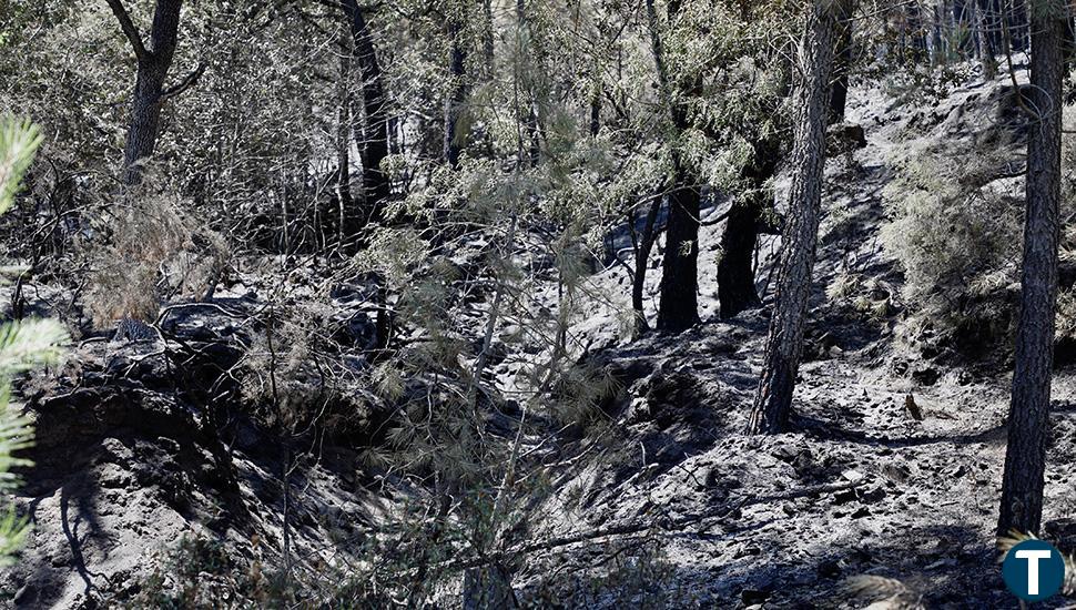 Controlado y en nivel 0 el peligroso incendio que ha tenido en vilo a la Sierra de Salamanca este sábado