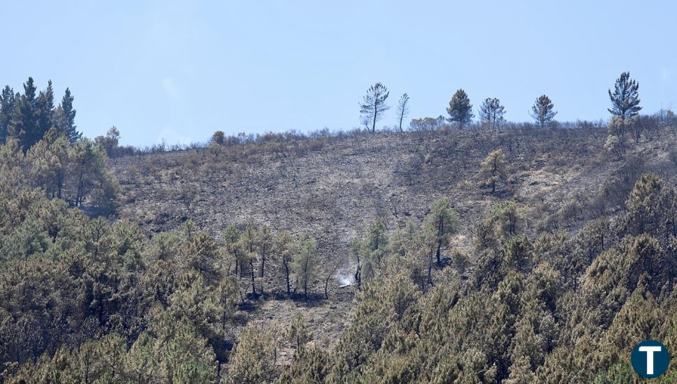 La Junta da como intencionado el incendio de Villanueva del Conde que ha quemado 2,5 hectáreas de pinar