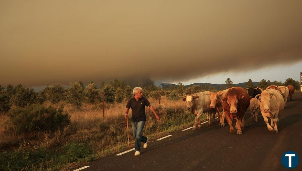 La evolución del fuego de Monsagro permite la apertura de las dos carreteras cortadas   