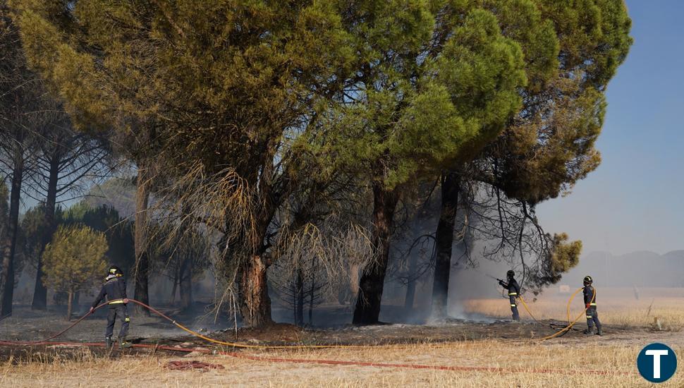 Mantienen cortadas SA-201 y DSA-352 en los tramos La Alberca-Prado Carreras y Serradilla del Arroyo-Monsagro