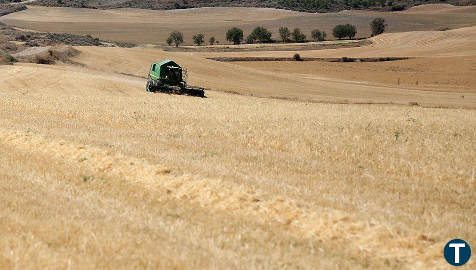 La Junta flexibiliza las restricciones para cosechar cereal en Castilla y León