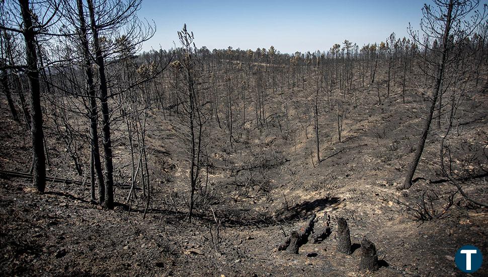 La bajada de temperaturas da un respiro a los equipos y permite consolidar el perímetro del fuego de Monsagro