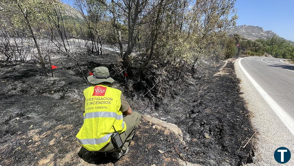 Entidades ecologistas exigen la prohibición de los trabajos forestales durante las olas de calor