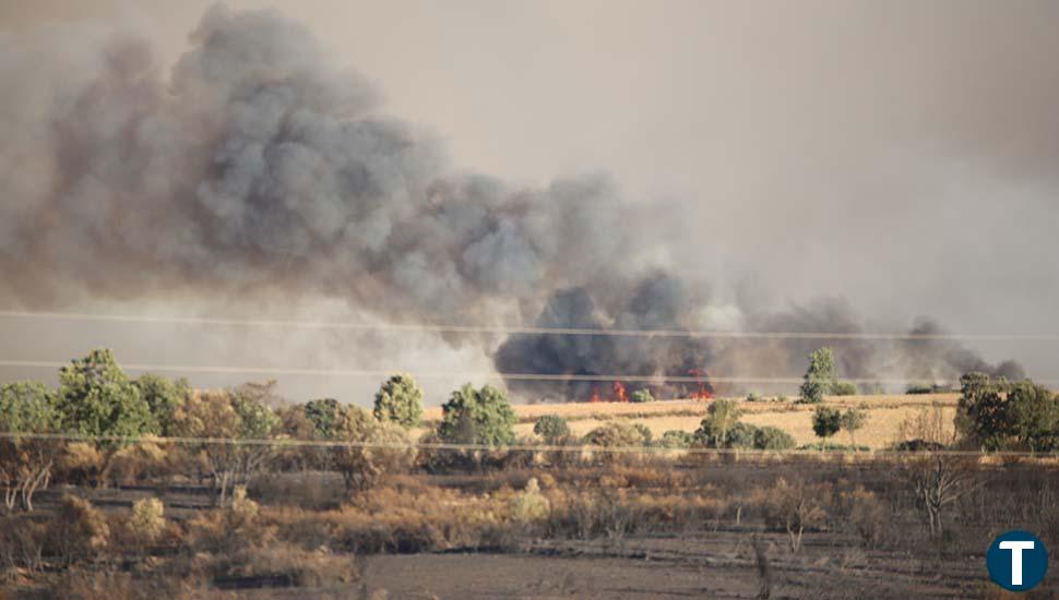 Los dos incendios de Losacio, los únicos activos en Castilla y León tras semanas de fuegos sin tregua