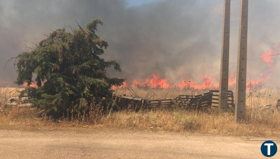 La Junta sube a 68 millones las ayudas quinquenales a titulares de terrenos forestales para evitar incendios   