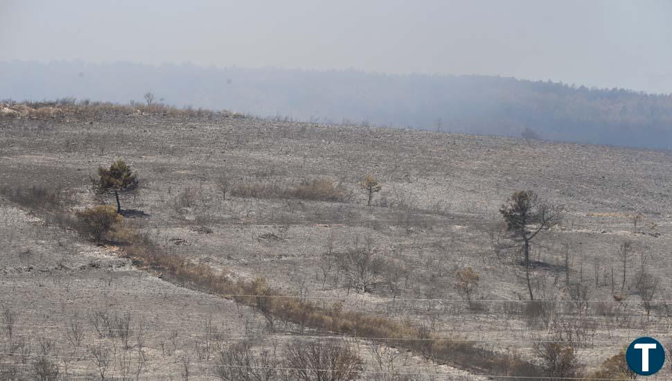 El incendio de Losacio se convierte en el más destructivo de la historia de Castilla y León