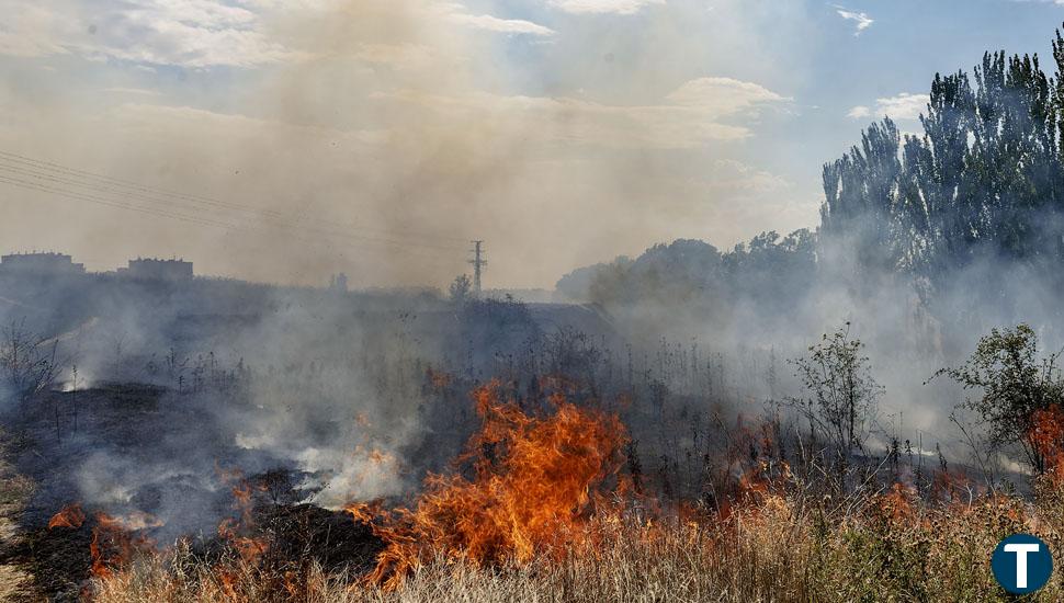 Extinguido a última hora del jueves el incendio forestal en Santa Olalla de Yeltes