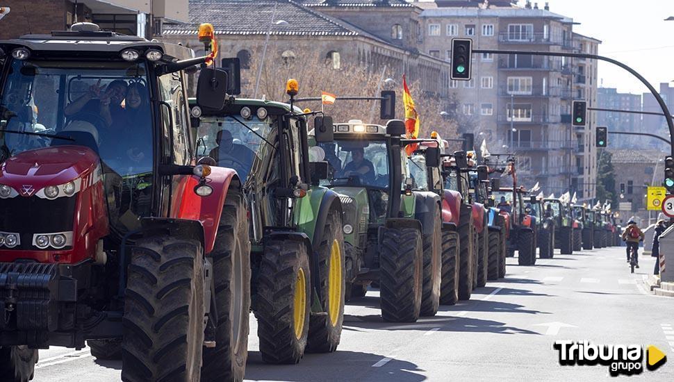 2022, un año de imágenes en Salamanca: Resumen fotográfico