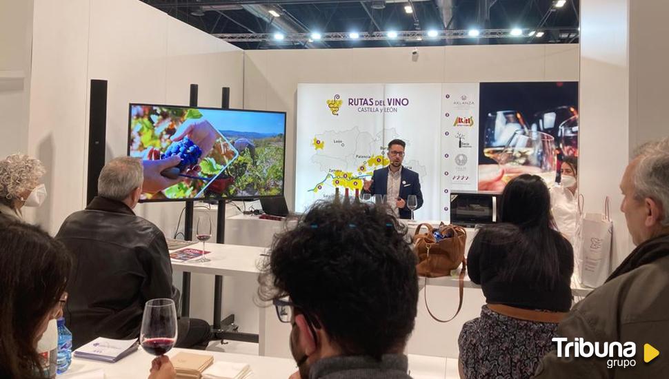 Ruta del Vino Sierra de Francia promocionará en Fitur sus productos enoturísticos