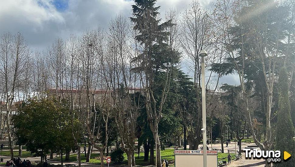 Los secretos del parque más famoso de Salamanca, La Alamedilla