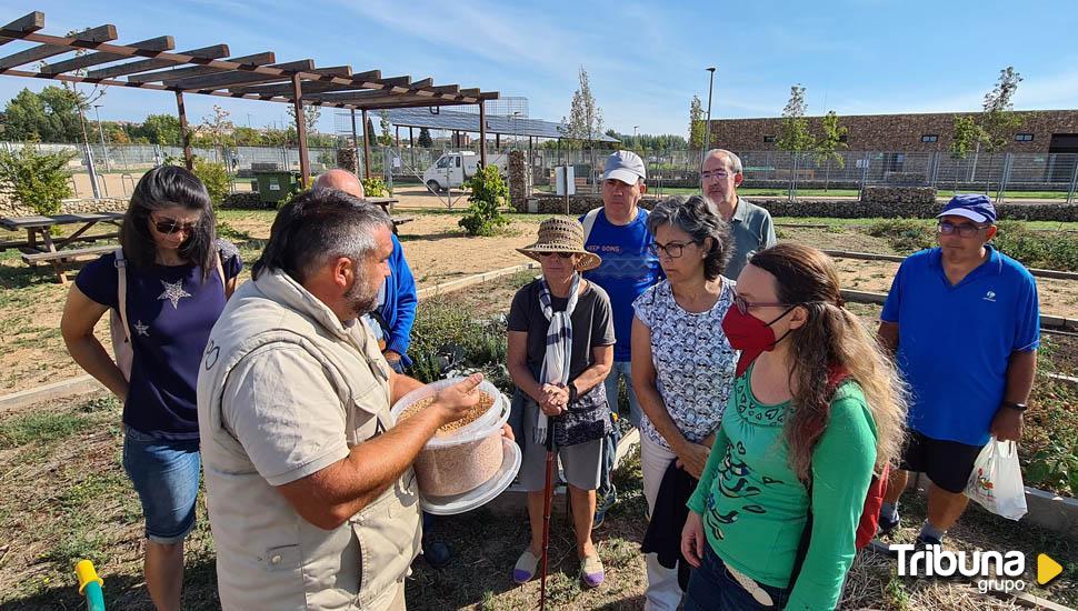 El talento también se cultiva: Los Huertos Urbanos son una oportunidad formativa para inclusión sociolaboral