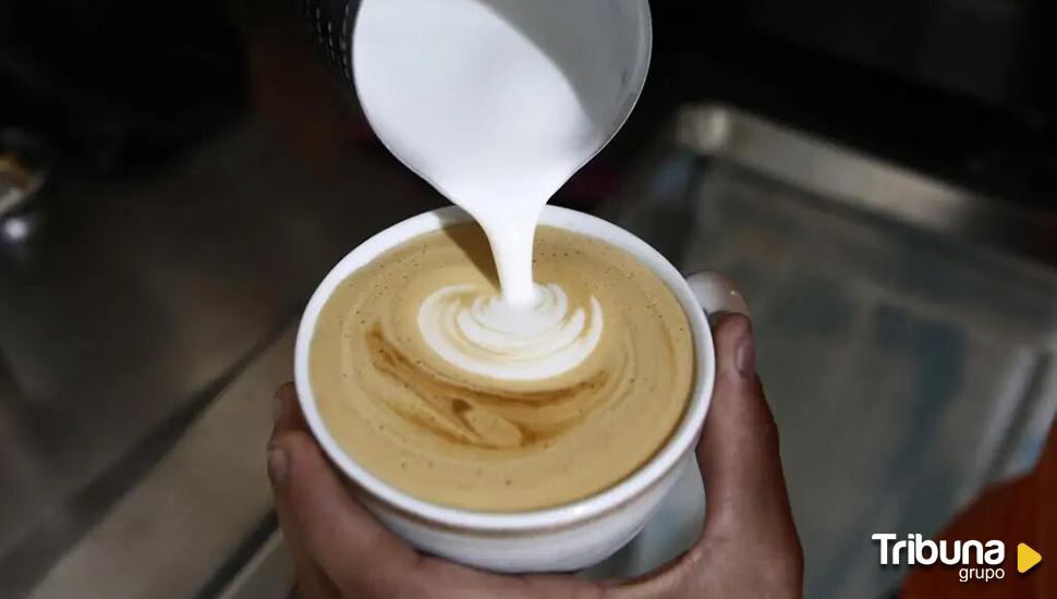 Solo, cortado, con leche: El café en España es tradición y elemento socializador