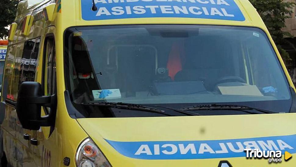 Fallece una mujer de 27 años tras ser atacada por varios perros en la localidad zamorana de Roales