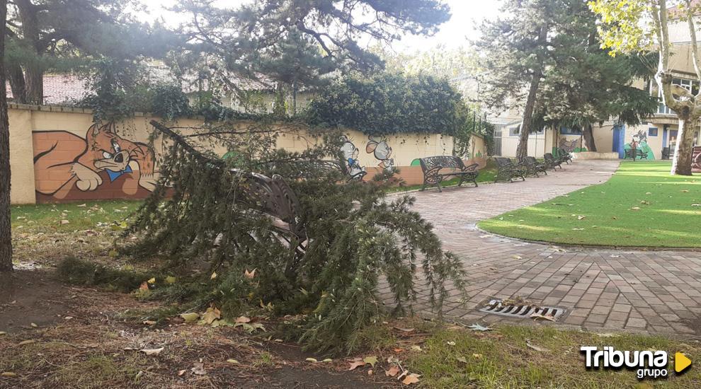 Los efectos de las rachas de viento provocan numerosas salidas de los bomberos en Salamanca, sin incidencias graves