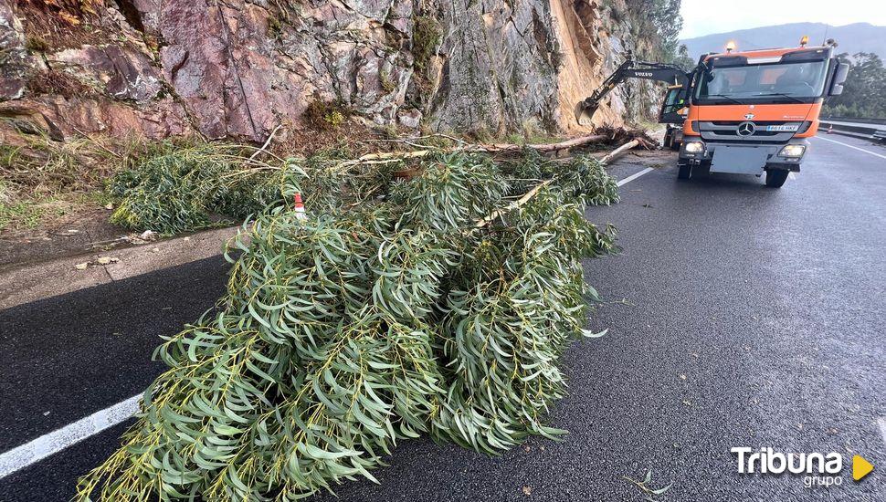 La borrasca Domingos azota con fuerza: vientos de hasta 203 km/hora, tres heridos y centenares de incidencias