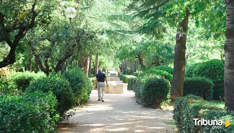 El 'secreto verde' de Salamanca: Un vídeo para repasar la contribución de árboles y arbustos a nuestra salud