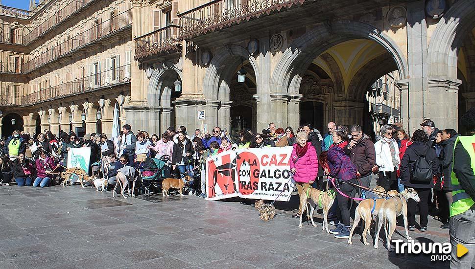 Manifestación contra la caza con galgos y otras razas de perros: "Que se prohíba de una vez" 