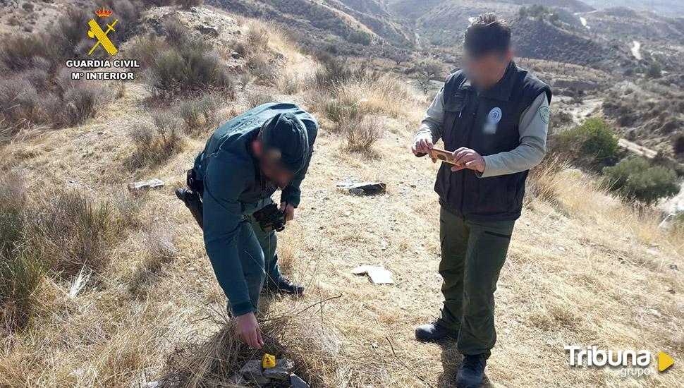 Investigan a un hombre por la muerte a tiros de un ejemplar de águila real en un coto de caza