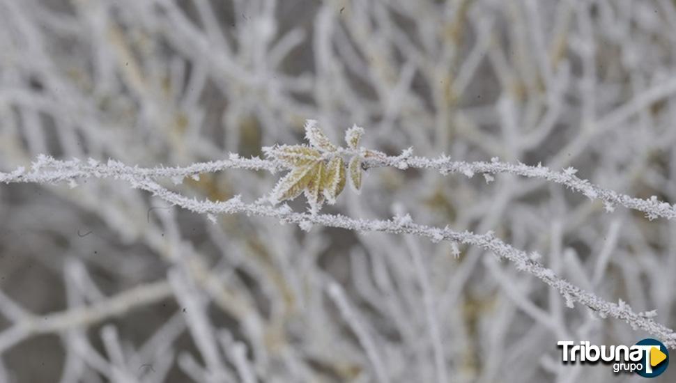 Alerta en Salamanca por temperaturas mínimas de hasta menos ocho grados 