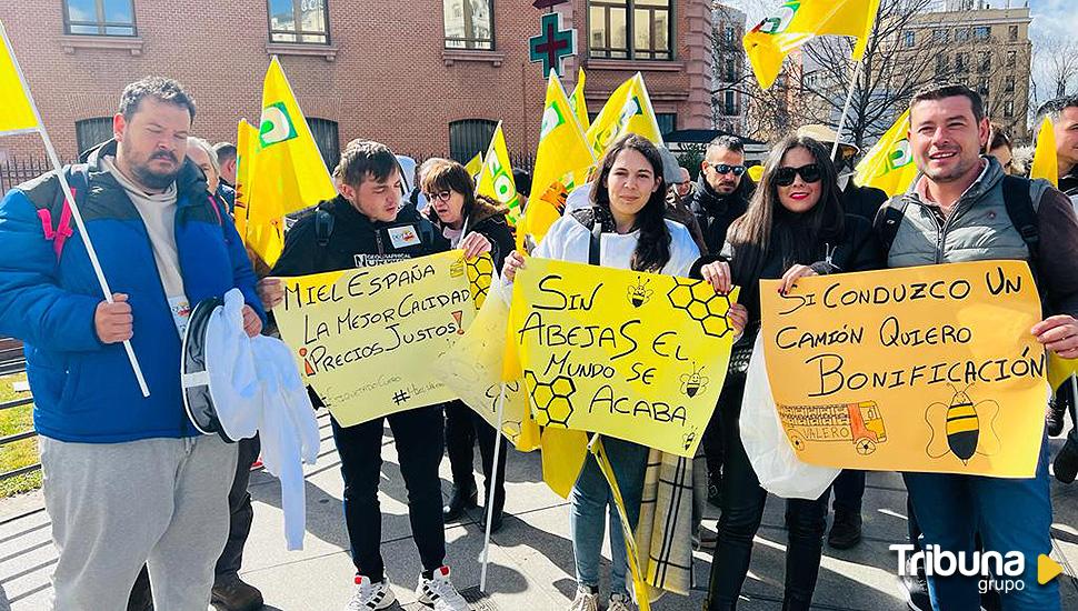 Apicultores salmantinos se manifiestan en Madrid: "Nuestra miel no se regala"