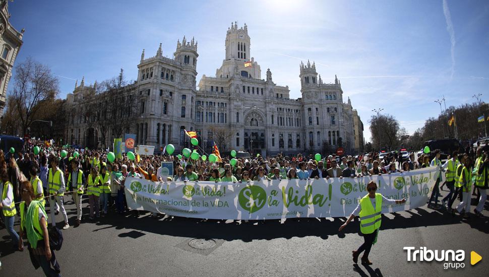 Alrededor de 23.000 personas marchan a favor de la vida y contra la Ley del Aborto