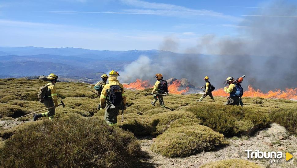 Los incendios forestales arrasan 1.168 hectáreas en Castilla y León