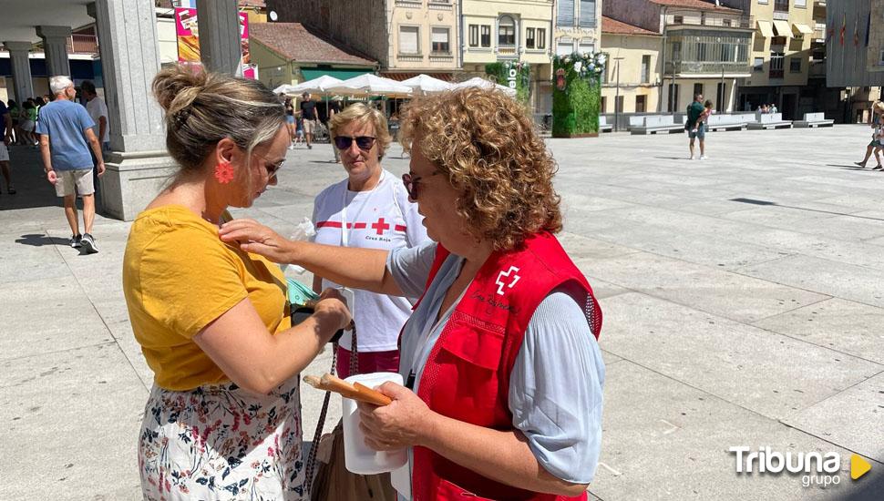 Cruz Roja celebra el Día de la Banderita en la provincia para reforzar la ayuda a las zonas más despobladas 