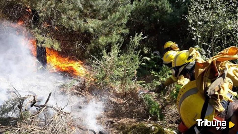 Tras un julio aparentemente tranquilo, máxima alerta ante el riesgo de incendios en agosto