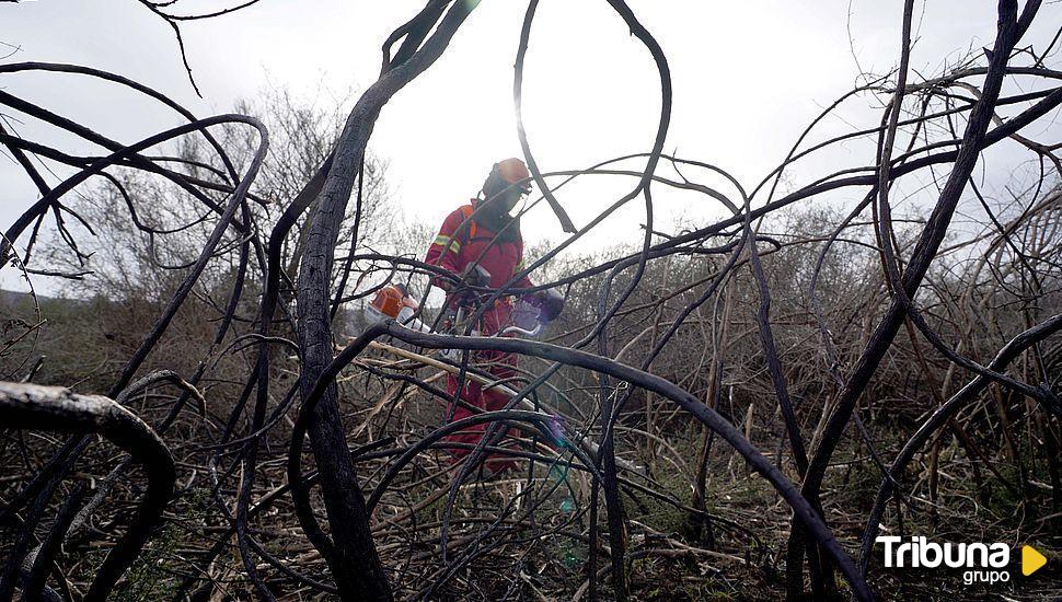 Una inversión de casi 13 millones pretende renovar el 66% de las autobombas del operativo de incendios de Castilla y León