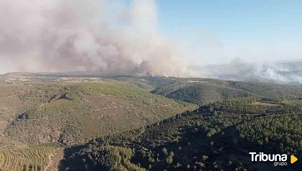 Controlado el incendio forestal de la frontera de Portugal sin que llegara a entrar en Castilla y León