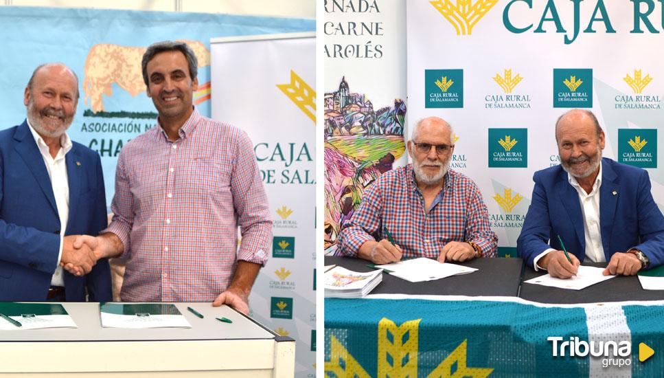 Caja Rural sigue apoyando a los criadores de ganado Charolés