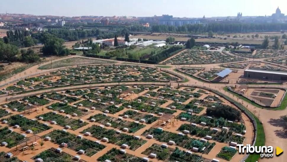 Huertos Urbanos de Salamanca: la semilla FEDER que reverdece la ciudad 