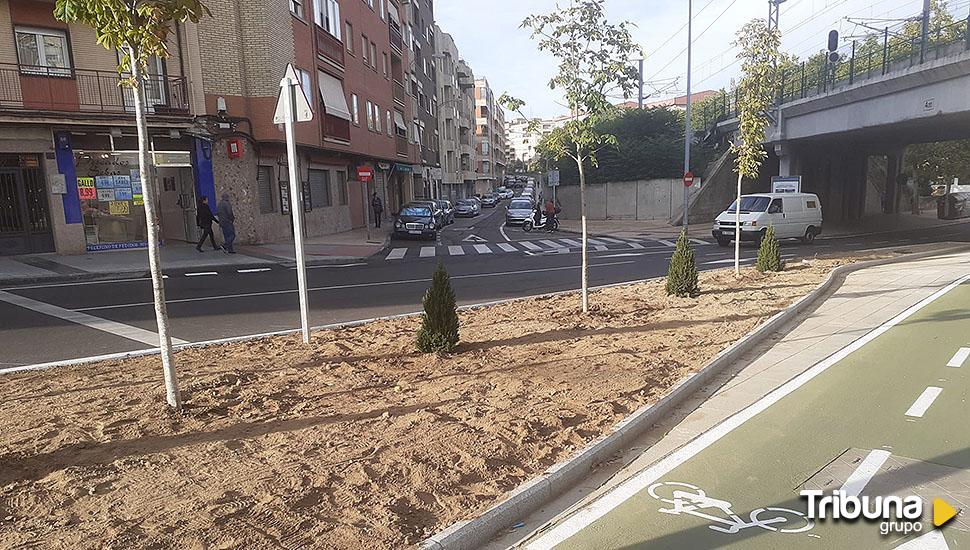 Avanza el proceso de ajardinamiento de la avenida de Comuneros