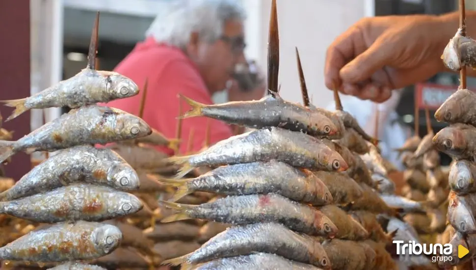 ¿Comemos el plástico que comen los peces?