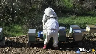 Instalan colmenas digitalizadas y hoteles para insectos en el municipio más antiguo de España 