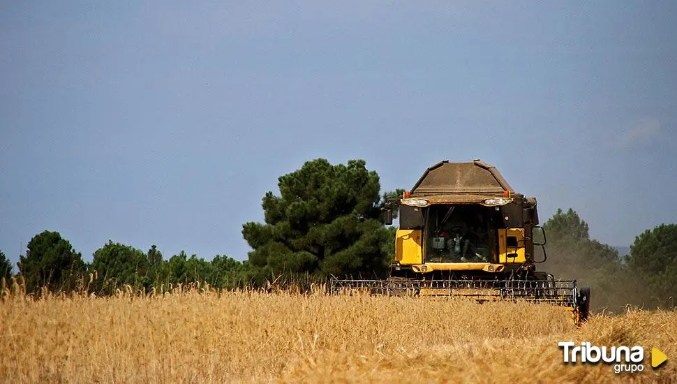 Las razones por las que llaman a agricultores y ganaderos a salir a la calle el día 11 por la crisis del cereal