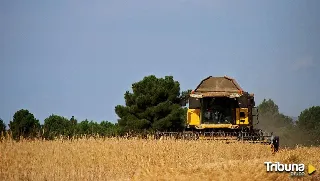 Las razones por las que llaman a agricultores y ganaderos a salir a la calle el día 11 por la crisis del cereal