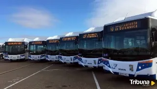 Cambios esta semana en las rutas 5 y 8 del autobús urbano de Salamanca