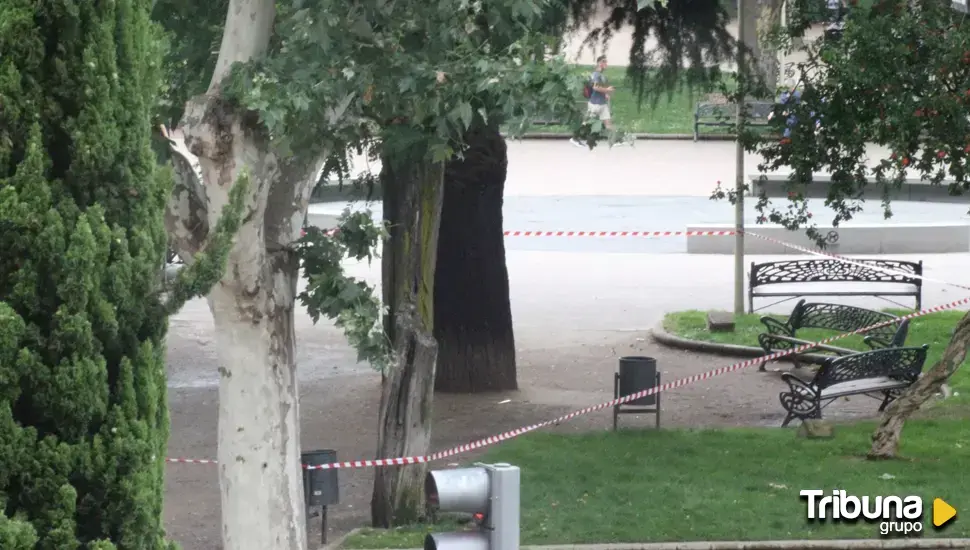 Cerrados los parques y la zona arbolada de La Aldehuela ante la previsión de fuertes rachas de viento