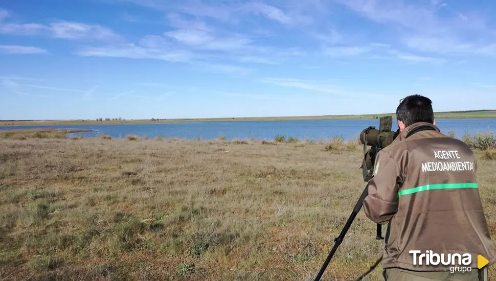 El Día Mundial de las Aves Migratorias contará con diversas actividades en Castilla y León