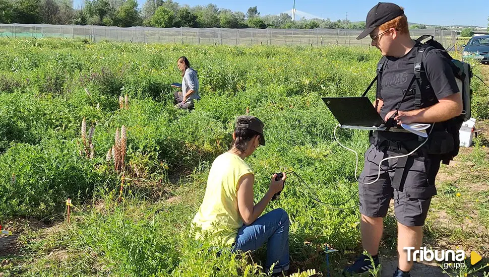 Salamanca se convierte en el punto neurálgico de la investigación del cultivo de cereales 