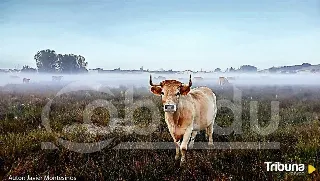 Javier Montesinos, ganador del I Concurso de Fotografía 'Así veo el Campo' de Cobadu