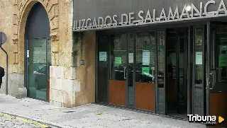 Condenan a dos años de cárcel a una salmantina por matar a golpes a ocho cachorros de mastín