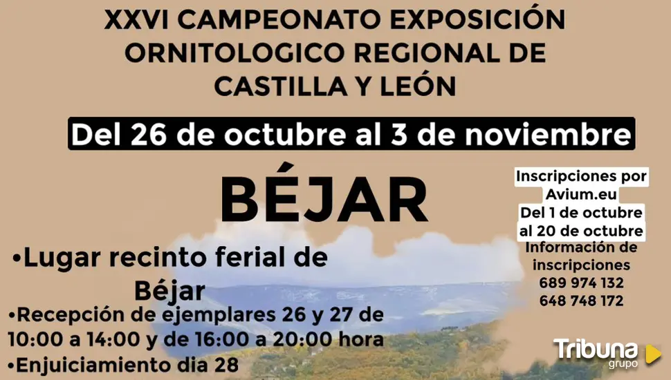 El Campeonato Regional de Ornitología llega a Béjar con la participación de 800 pájaros